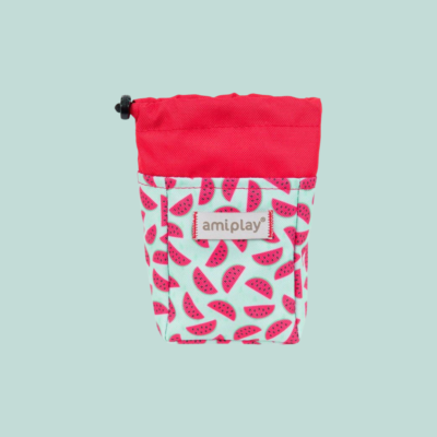 Pochette à friandises - Pastèque