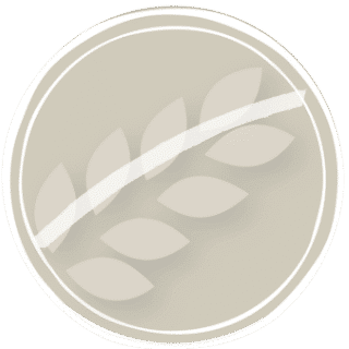 Accueil 8